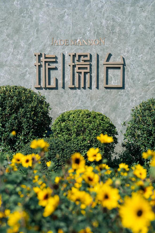 (图17)