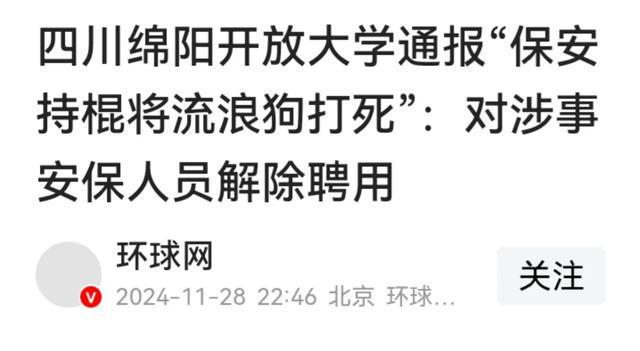 (图9)