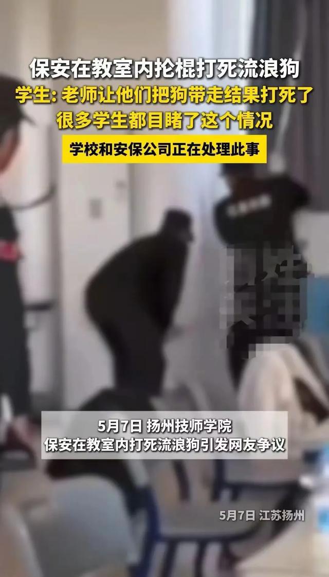 (图8)