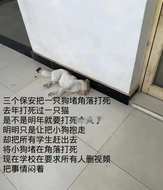 (图7)