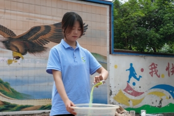 (图2)