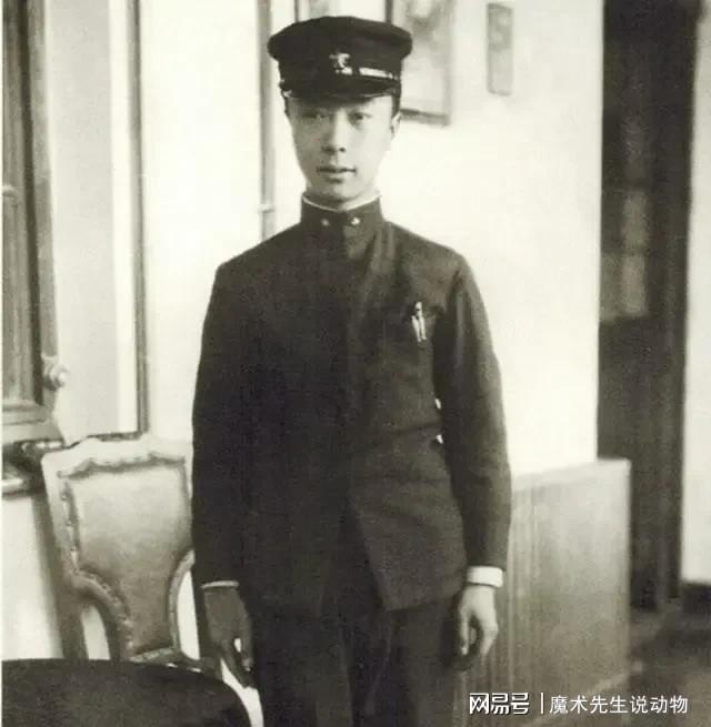 (图2)
