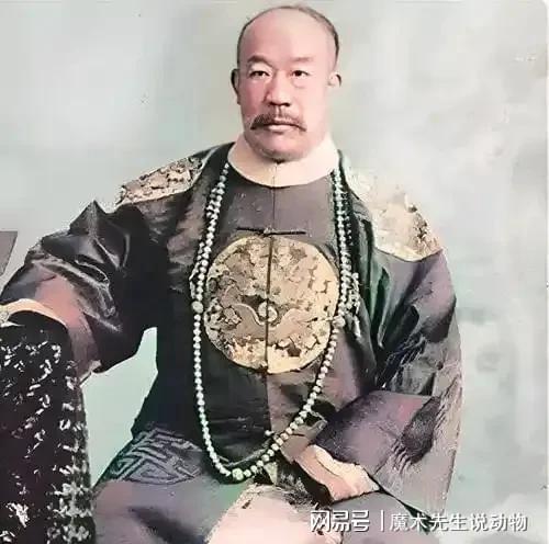 (图8)