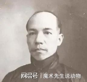(图12)