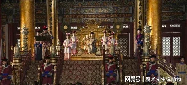 (图14)