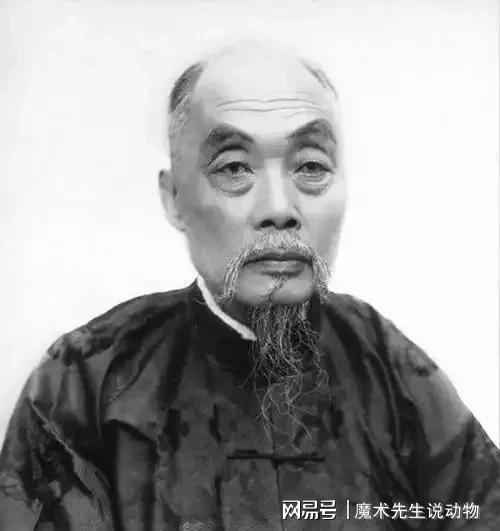 (图13)