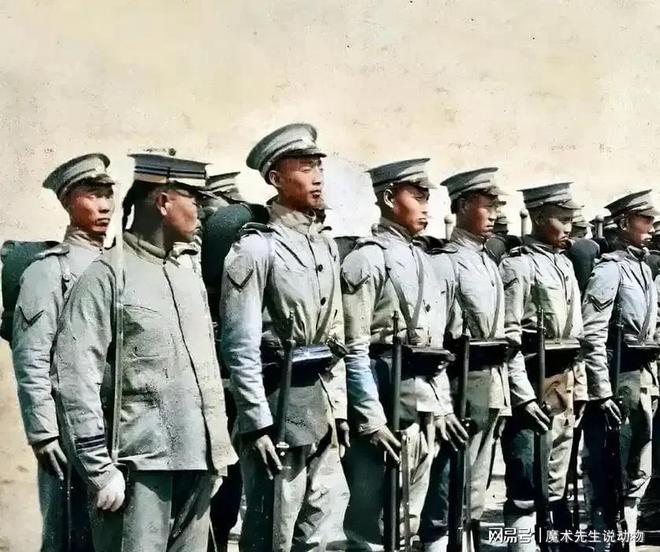(图18)