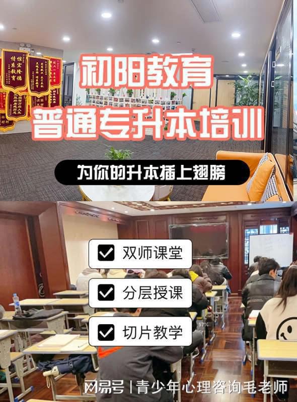 (图1)