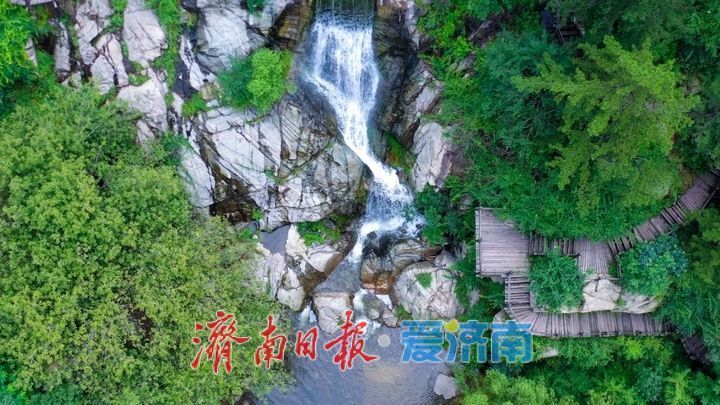 (图2)