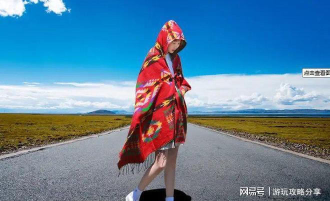 (图1)