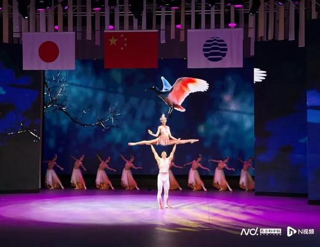 (图1)