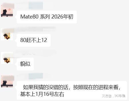 (图2)