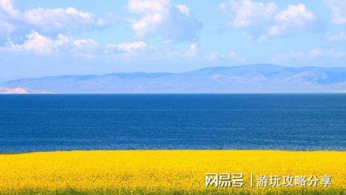 (图5)