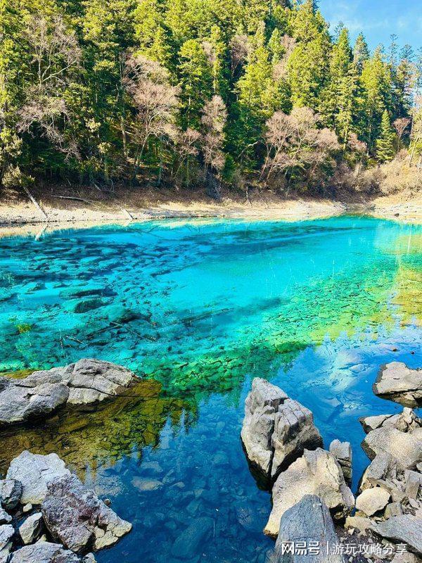 (图1)