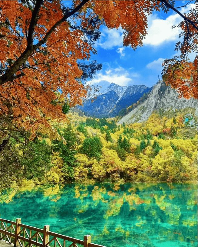 (图2)