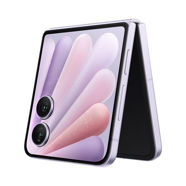 (图2)