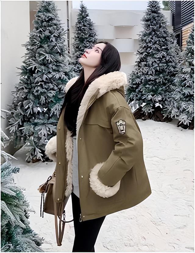 (图1)
