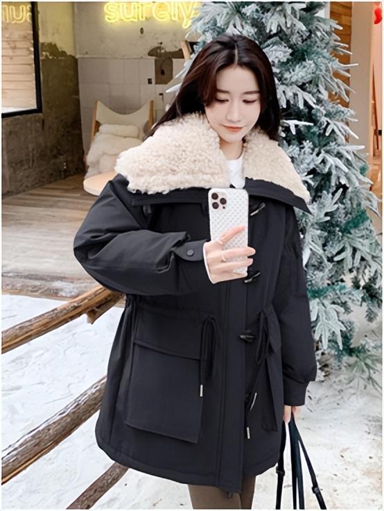 (图2)
