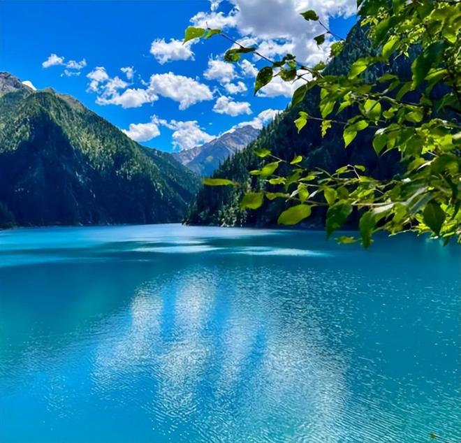 (图2)