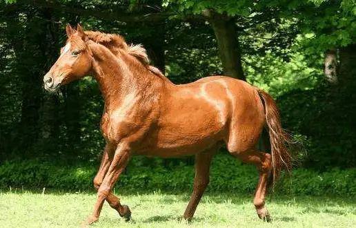 2025 年 6 月生肖红榜！这三大生肖财运爆棚数钱数到手软