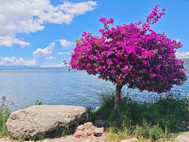 云南六日游保姆级行程怎么安排划算？路线安排+避坑技巧+必吃美食