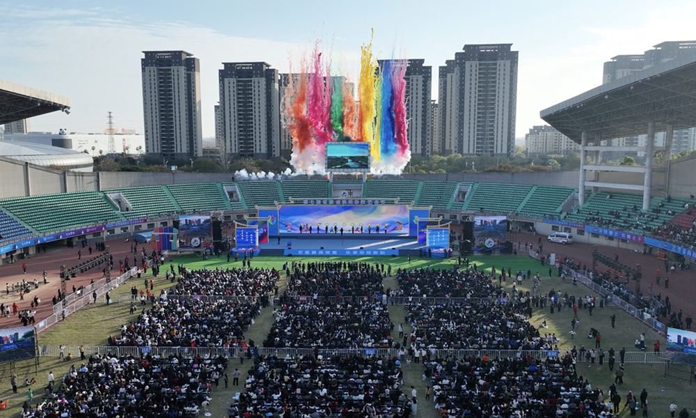 临泉：杂技盛会绽新姿