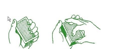 2026来日照过大年！全攻略来啦！